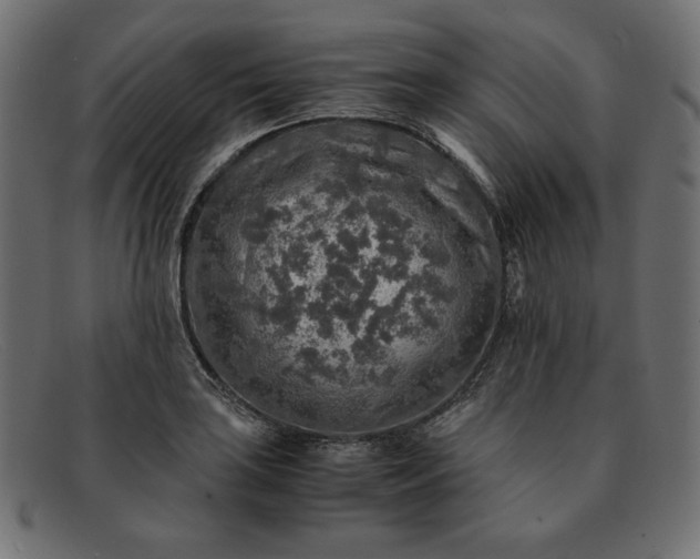 X0000091861035200709191112