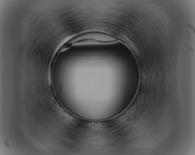 X0000091861036200709191112