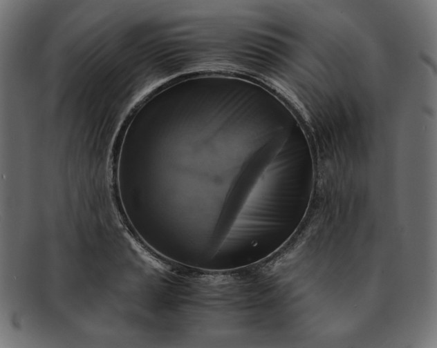 X0000091861037200709191112