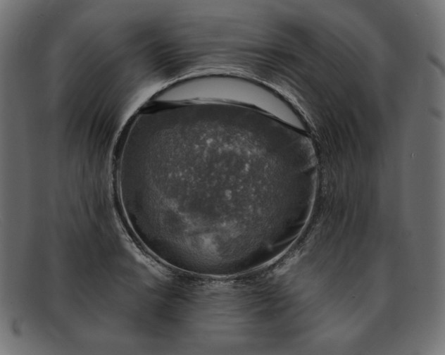 X0000091861038200709191112