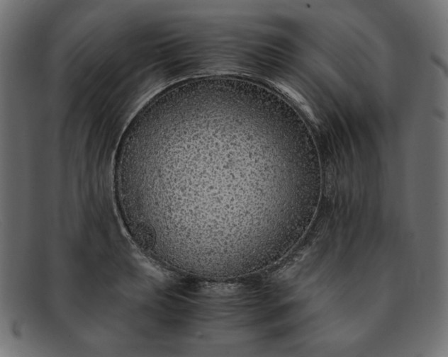 X0000091861039200709191112