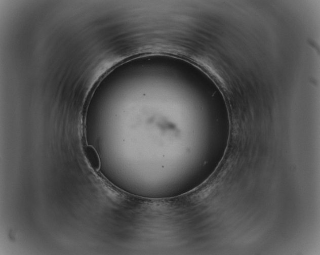 X0000091861040200709191112