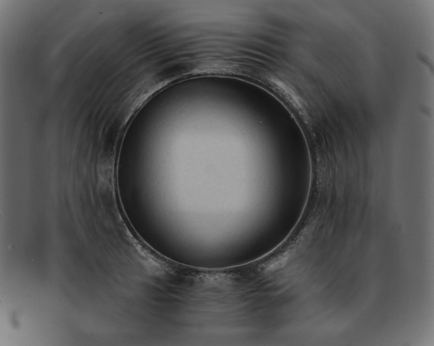 X0000091861041200709191112