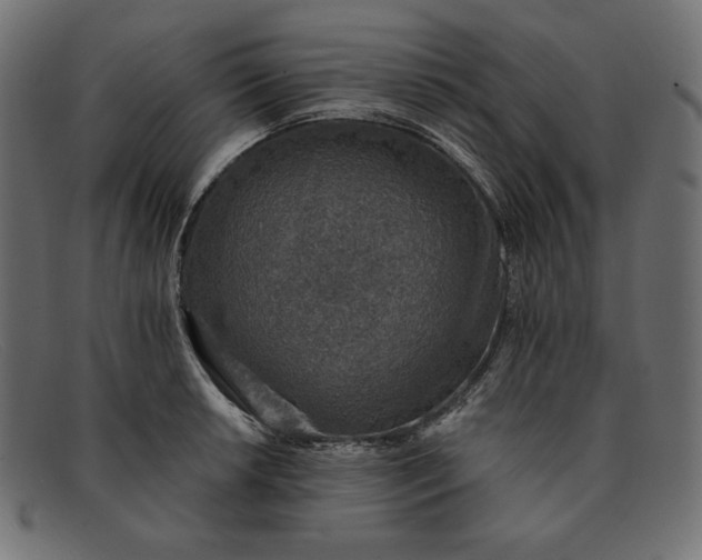 X0000091861042200709191112