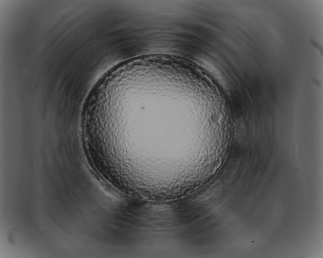 X0000091861043200709191112