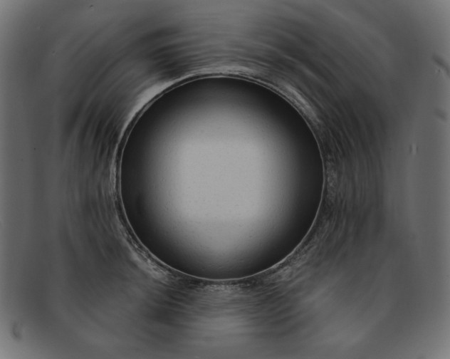 X0000091861044200709191112