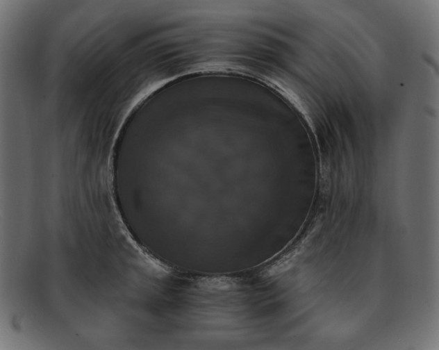 X0000091861045200709191112