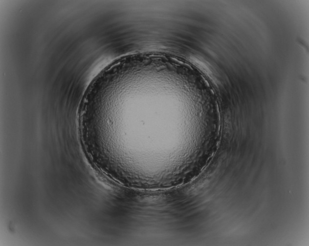 X0000091861047200709191112