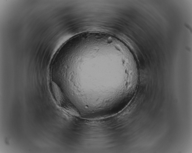 X0000091861048200709191112