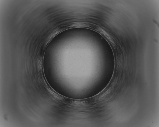 X0000091861049200709191112