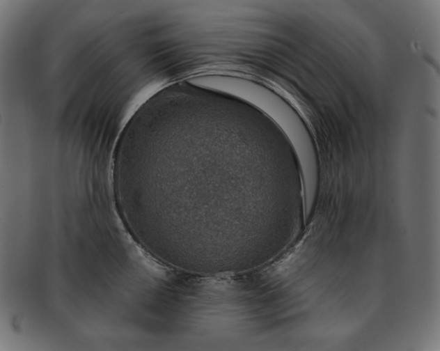 X0000091861050200709191112