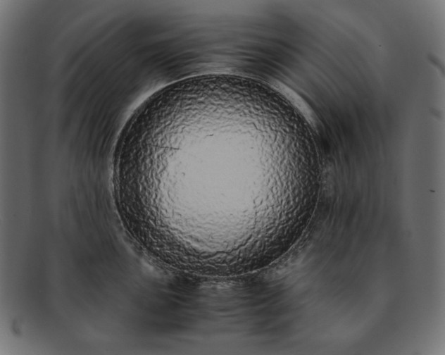 X0000091861051200709191112