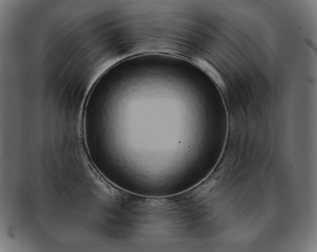 X0000091861052200709191112