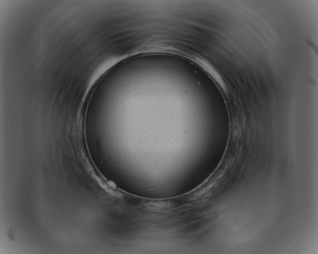 X0000091861053200709191112