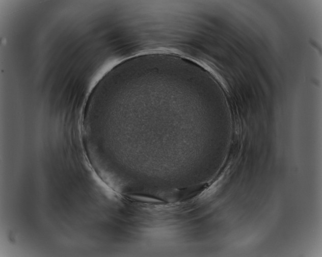 X0000091861054200709191112