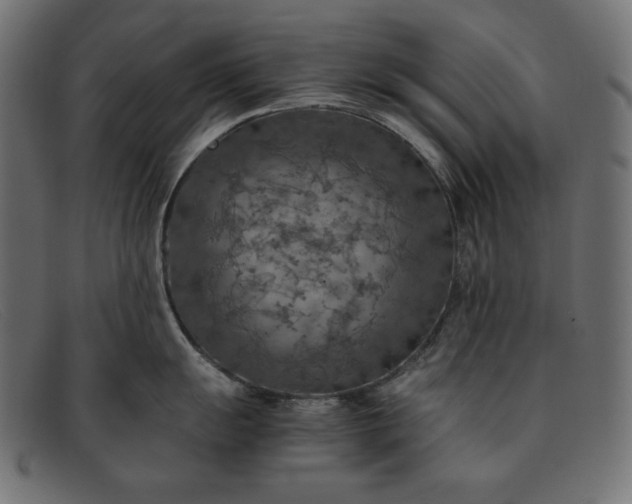 X0000091861055200709191112