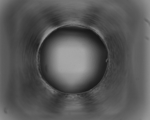 X0000091861056200709191112