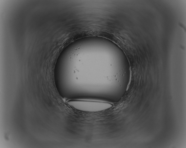 X0000091861057200709191112