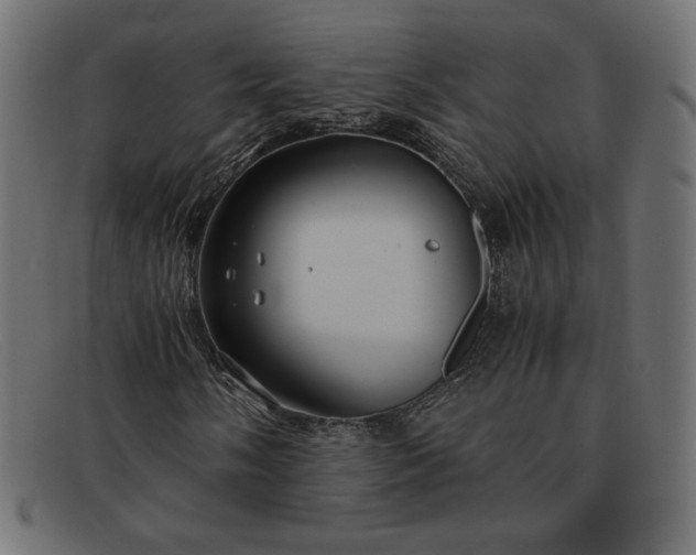 X0000091861058200709191112