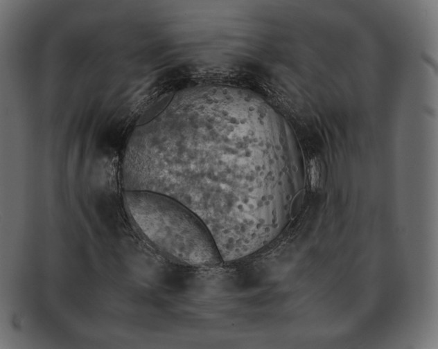 X0000091861059200709191112