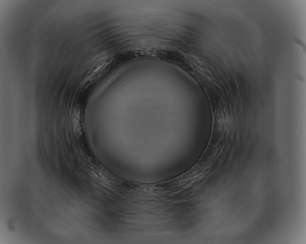 X0000091861060200709191112