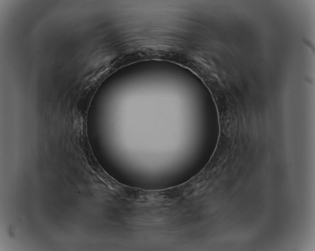 X0000091861061200709191112