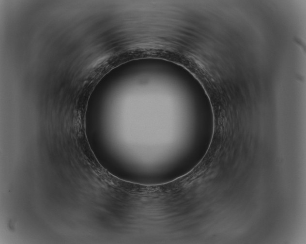 X0000091861062200709191112