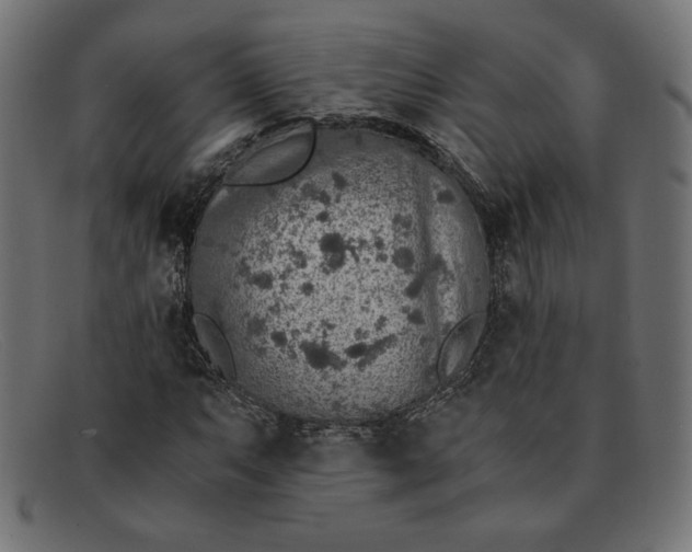 X0000091861063200709191111