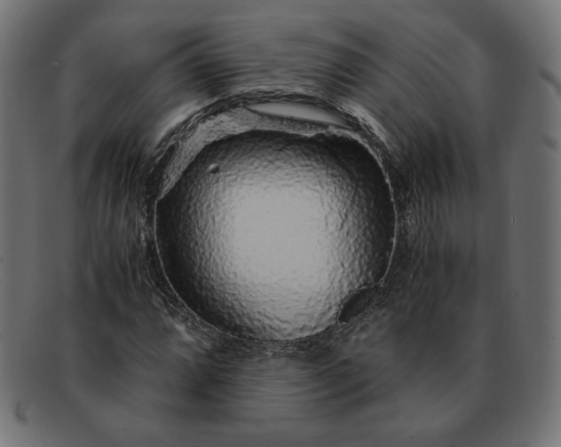 X0000091861064200709191111