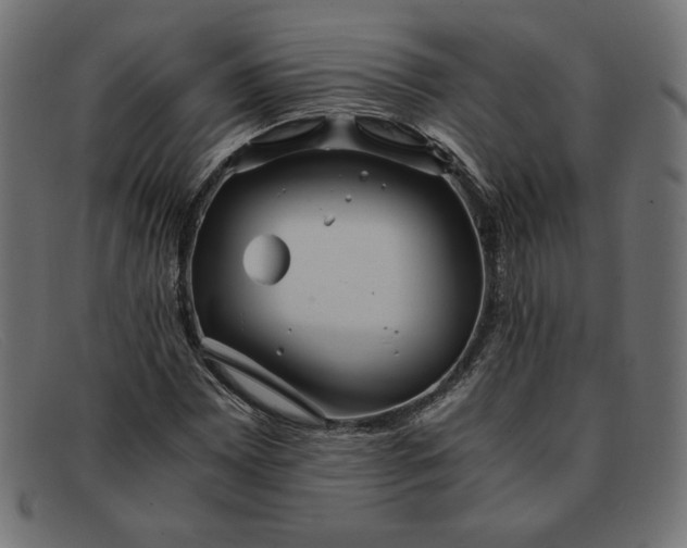 X0000091861065200709191111