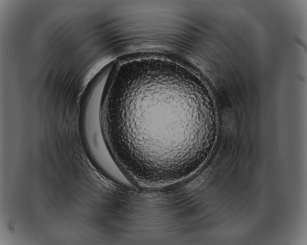 X0000091861066200709191111