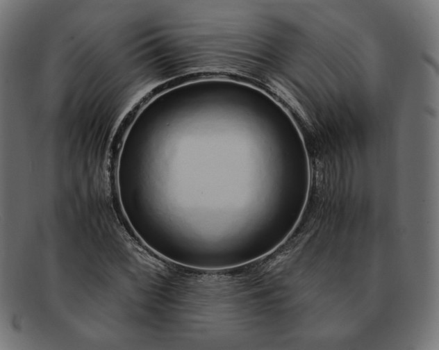 X0000091861068200709191111