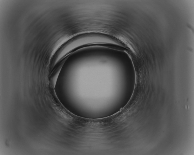 X0000091861069200709191111