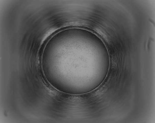 X0000091861070200709191111