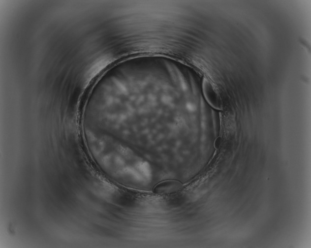 X0000091861071200709191111