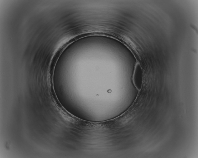 X0000091861072200709191111