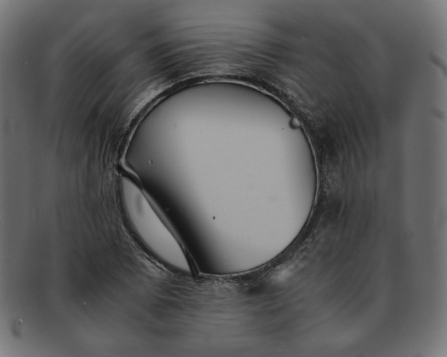 X0000091861073200709191111