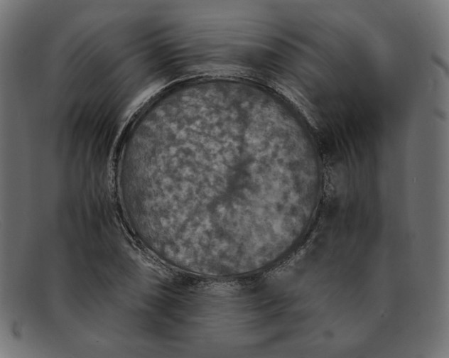 X0000091861074200709191111