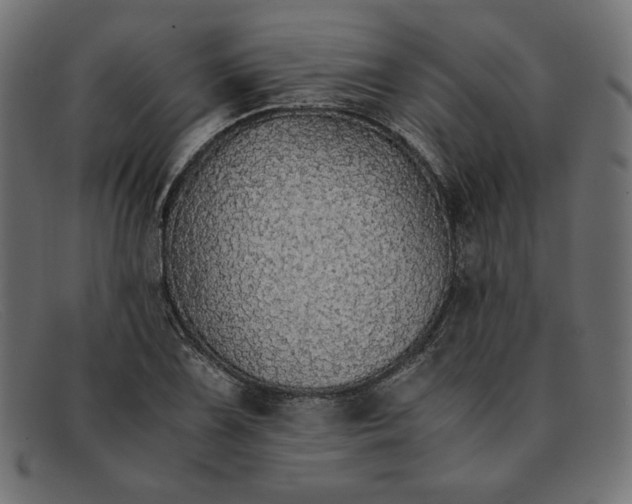 X0000091861075200709191111