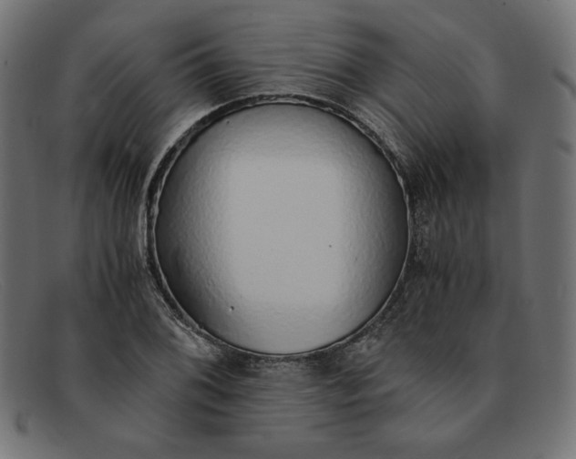 X0000091861076200709191111