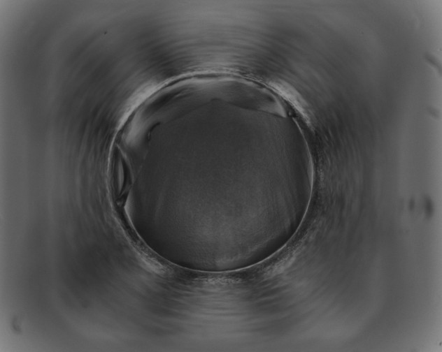 X0000091861077200709191111