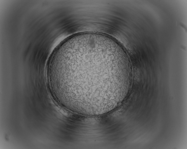 X0000091861078200709191111