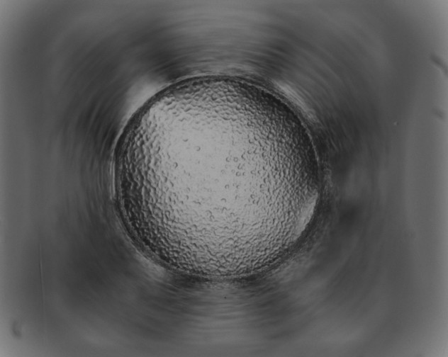 X0000091861079200709191111