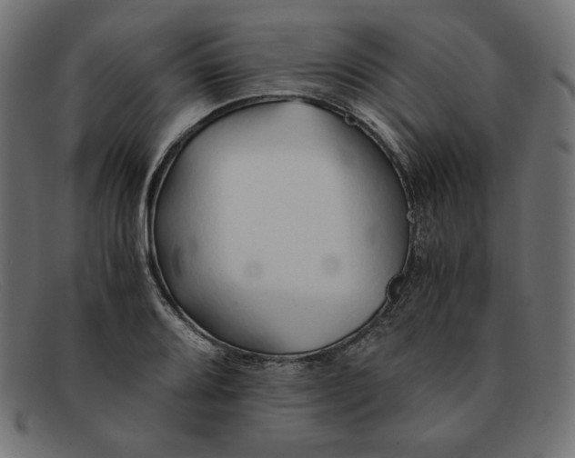 X0000091861080200709191111