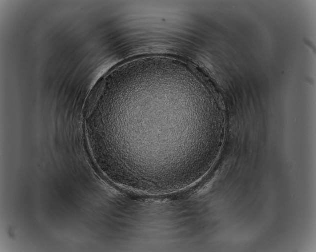 X0000091861081200709191111