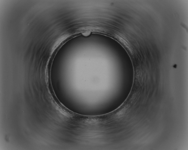 X0000091861082200709191111