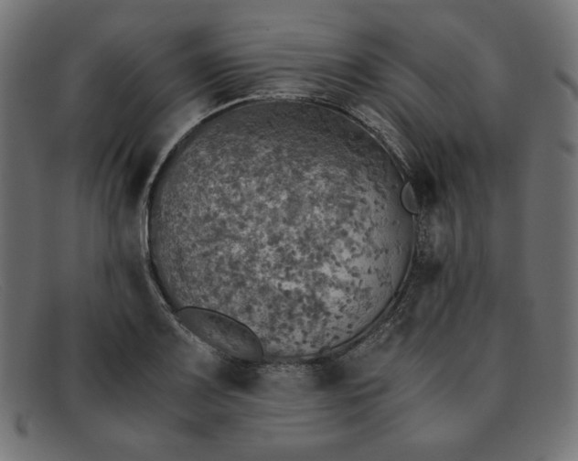 X0000091861083200709191111