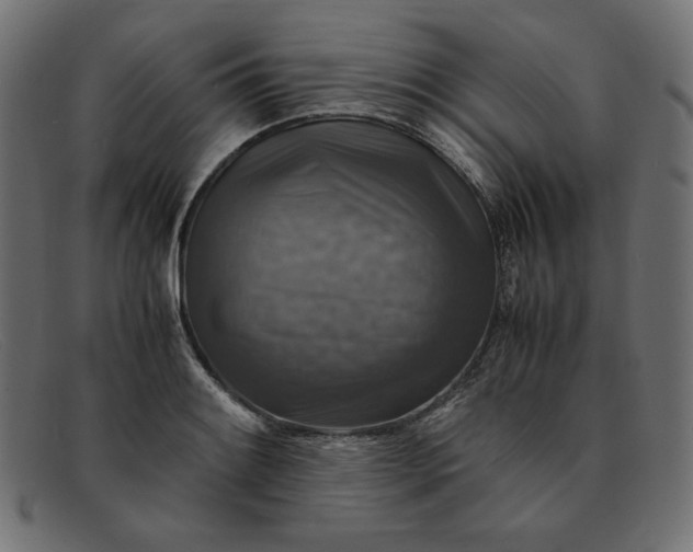 X0000091861084200709191111