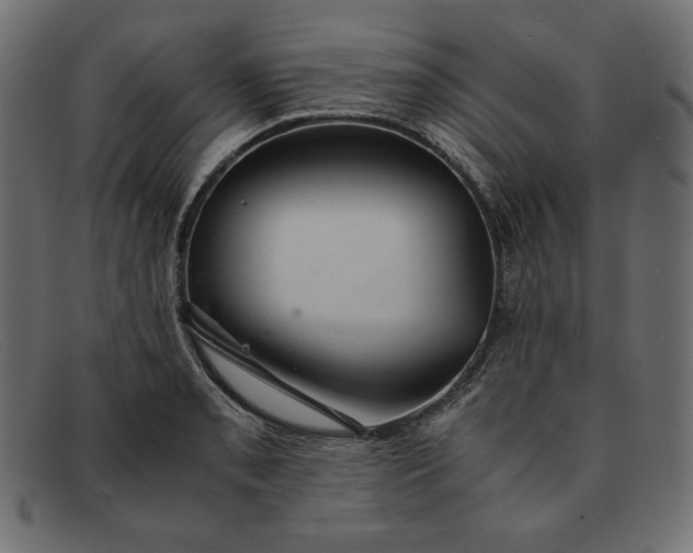 X0000091861085200709191111