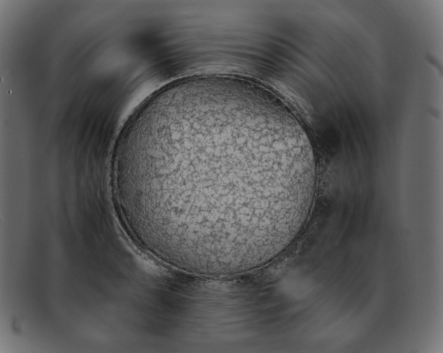 X0000091861086200709191111